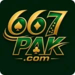 667PAK Game
