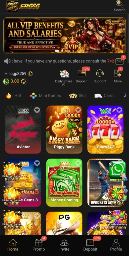 ER999 Game